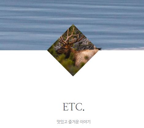 태상의 미니샵 바로가기, 생활 속 작은 관심사를 모으는 공간